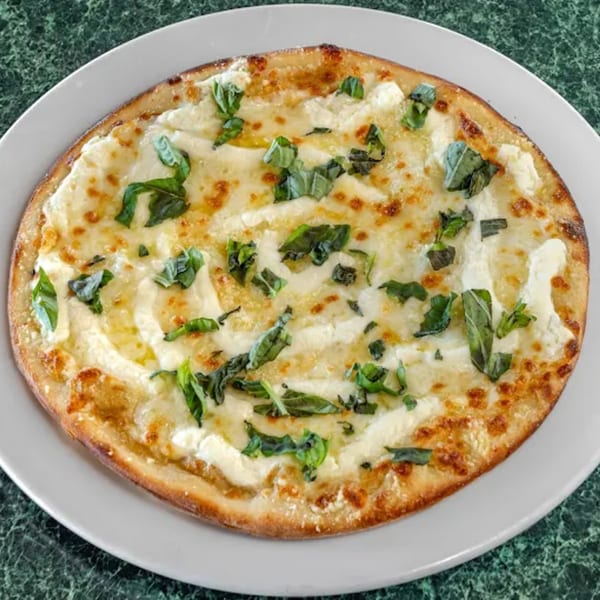 North Beach Pizza's white pizza with melted cheese, ricotta, and fresh basil on a white plate.